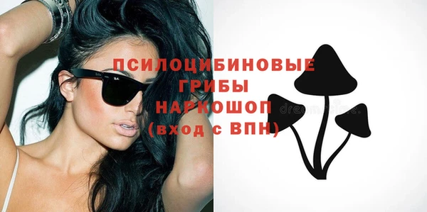 МДПВ Алексин