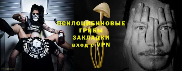 ГАЛЛЮЦИНОГЕННЫЕ ГРИБЫ Алзамай