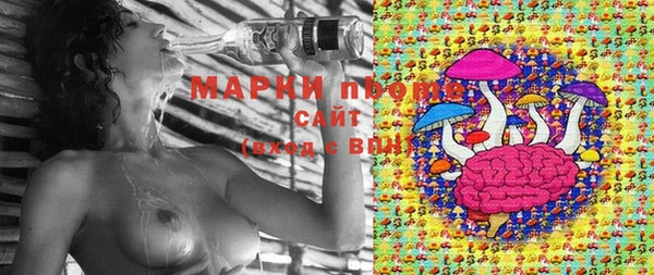 МДПВ Алексин