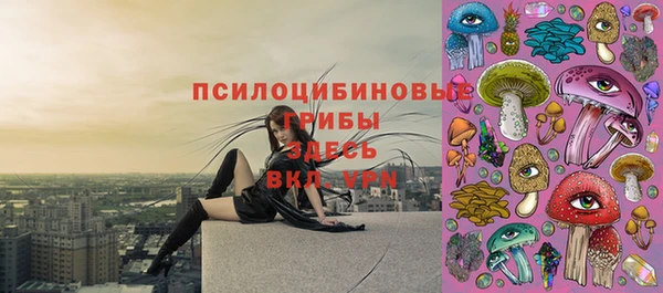 первитин Алексеевка