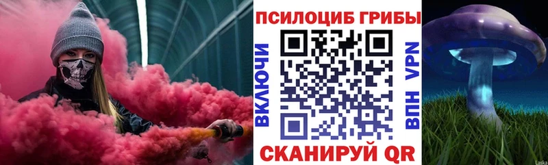 Псилоцибиновые грибы мицелий сколько стоит площадка официальный сайт Чайковский